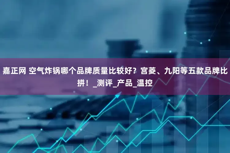 嘉正网 空气炸锅哪个品牌质量比较好？宫菱、九阳等五款品牌比拼！_测评_产品_温控