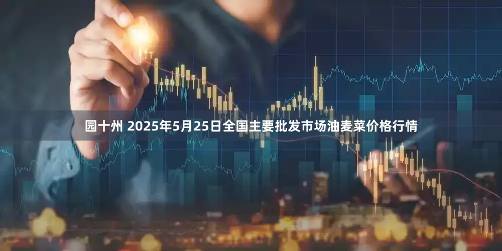 园十州 2025年5月25日全国主要批发市场油麦菜价格行情