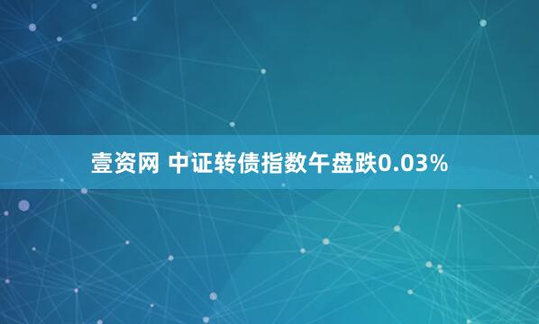壹资网 中证转债指数午盘跌0.03%